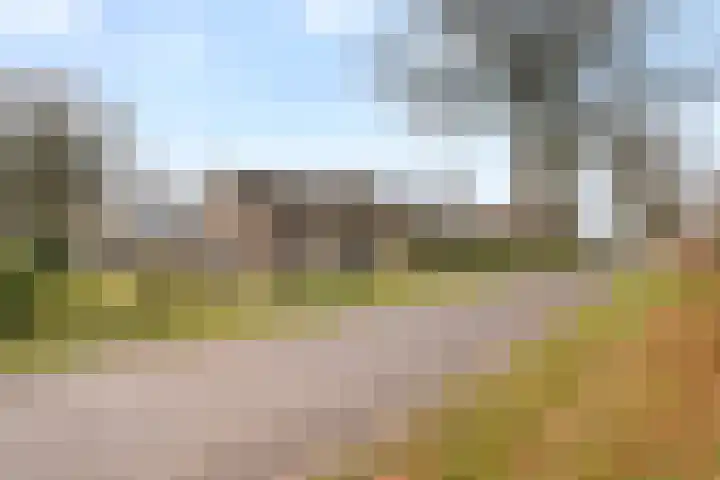 Stuivezandsweg 5 't Loo Oldebroek thumbnail 8