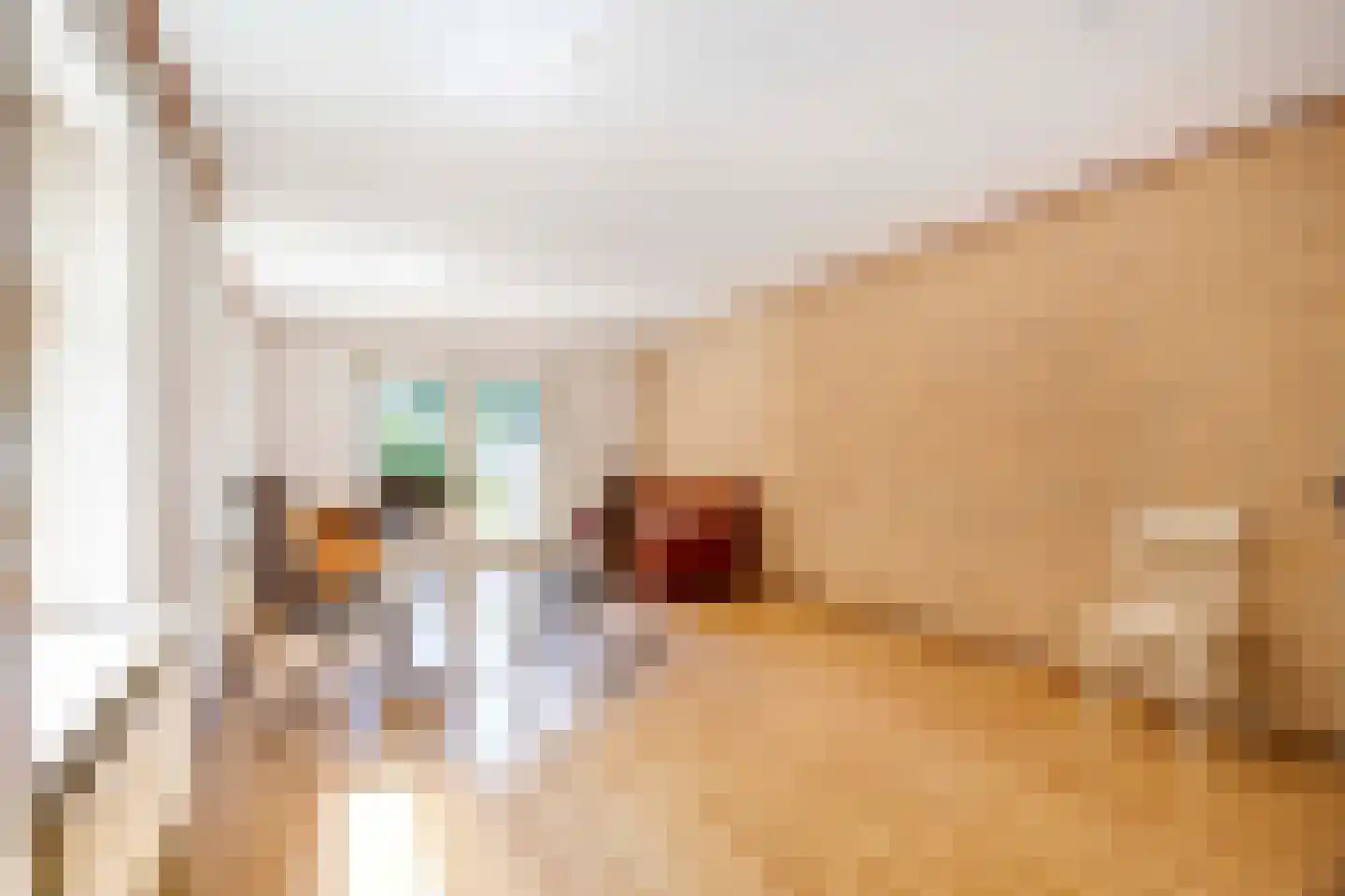 Stuivezandsweg 8 A 't Loo Oldebroek thumbnail 13
