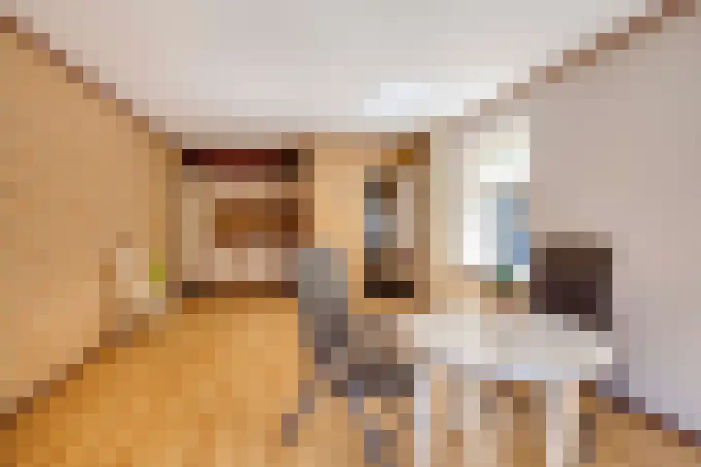 Stuivezandsweg 8 A 't Loo Oldebroek thumbnail 17