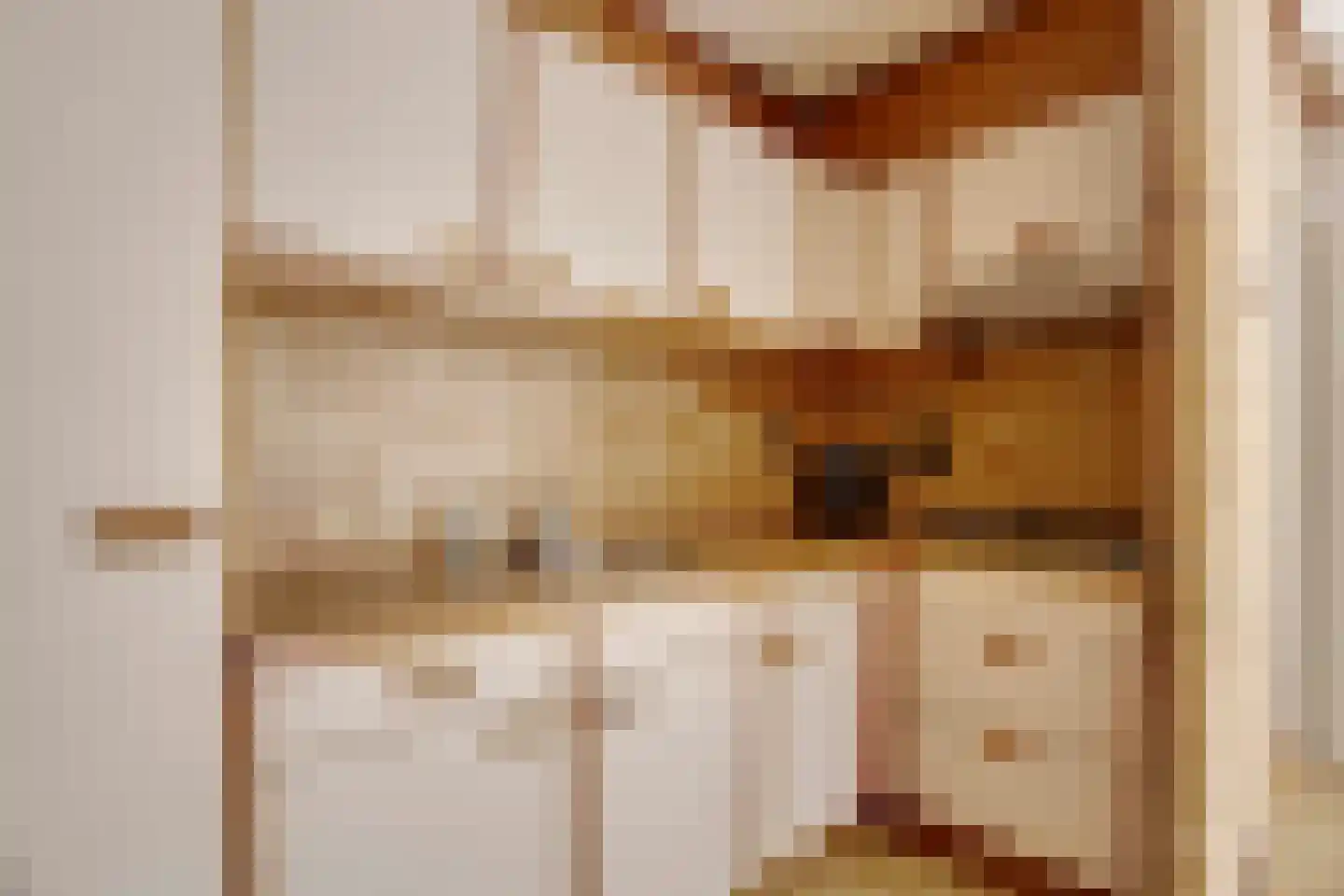 Stuivezandsweg 8 A 't Loo Oldebroek thumbnail 19