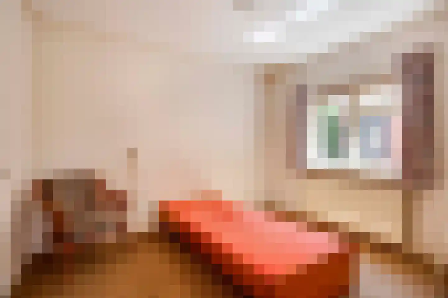 Stuivezandsweg 8 A 't Loo Oldebroek foto 3
