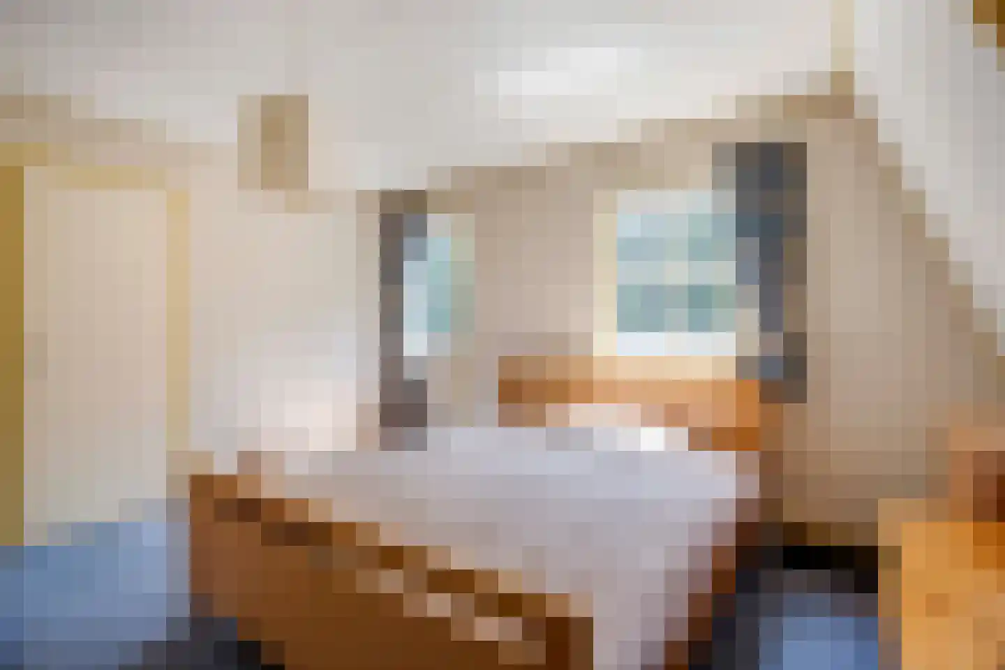 Stuivezandsweg 8 A 't Loo Oldebroek thumbnail 30