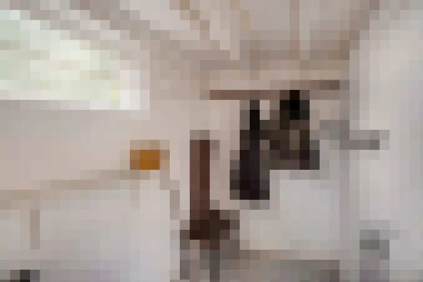 Stuivezandsweg 8 A 't Loo Oldebroek thumbnail 34