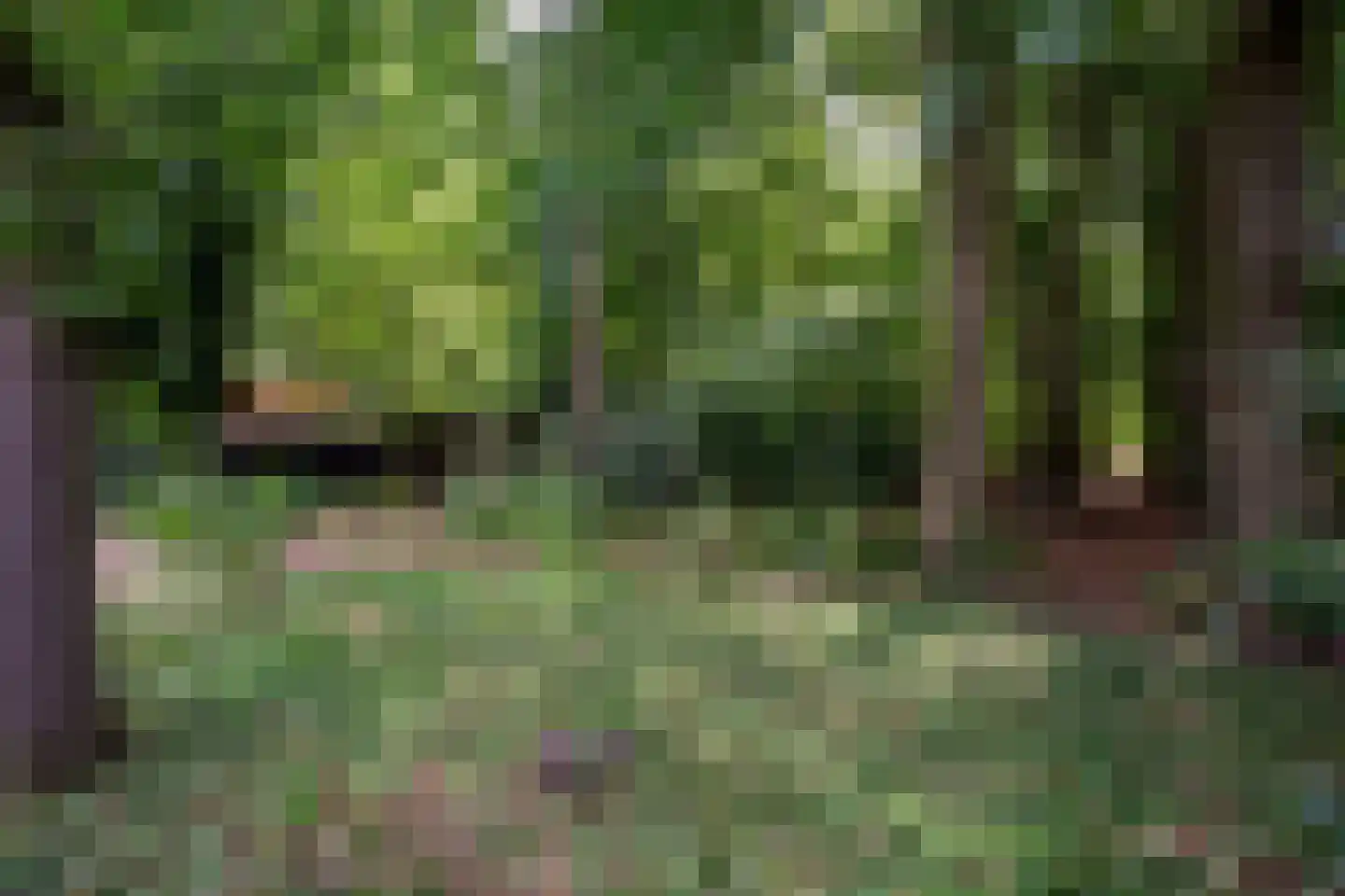Stuivezandsweg 8 A 't Loo Oldebroek thumbnail 37