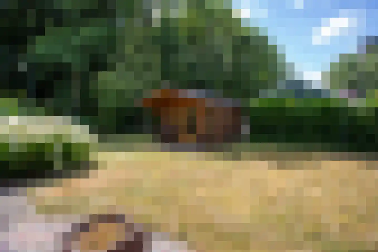 Stuivezandsweg 8 A 't Loo Oldebroek thumbnail 5