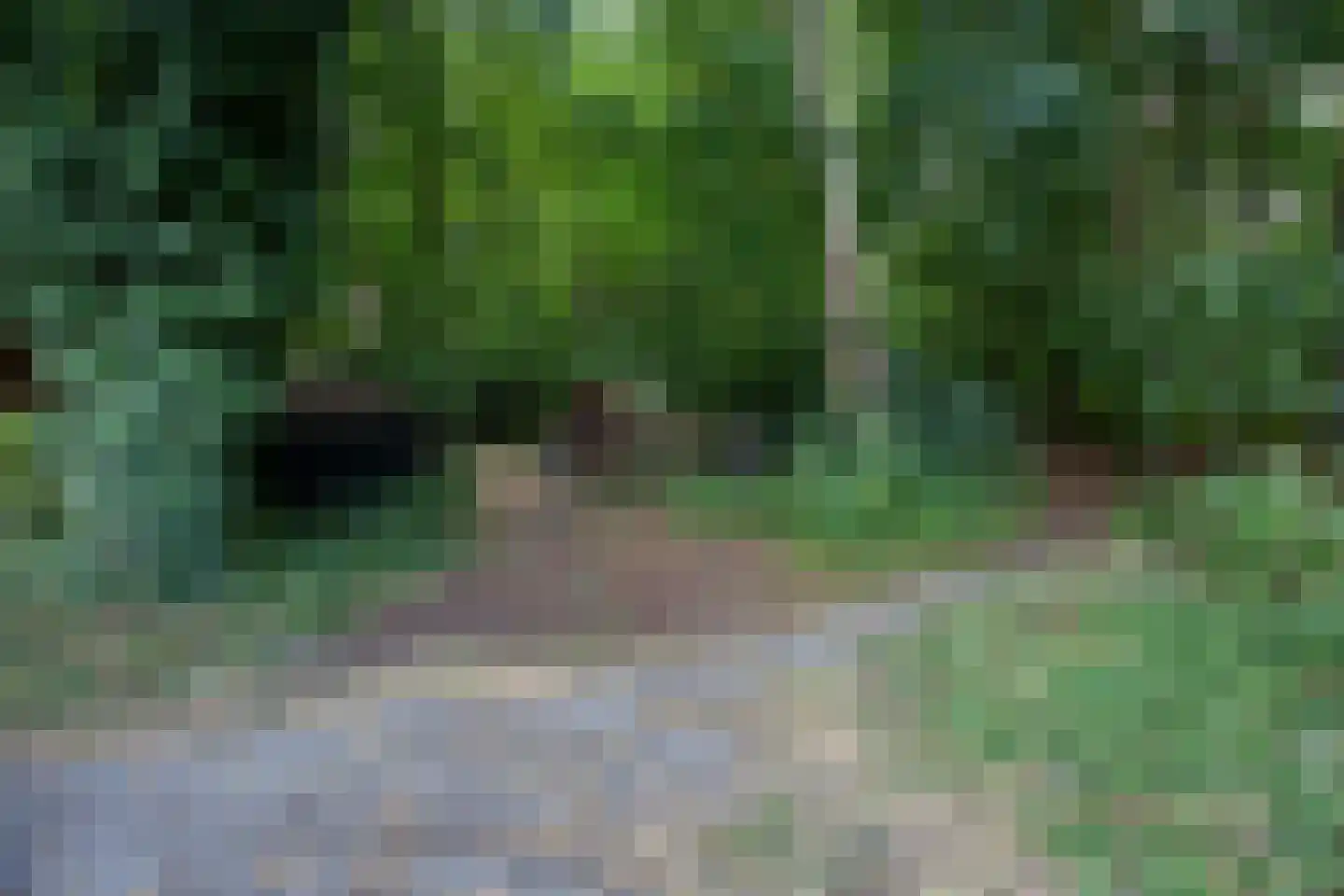 Stuivezandsweg 8 A 't Loo Oldebroek thumbnail 53