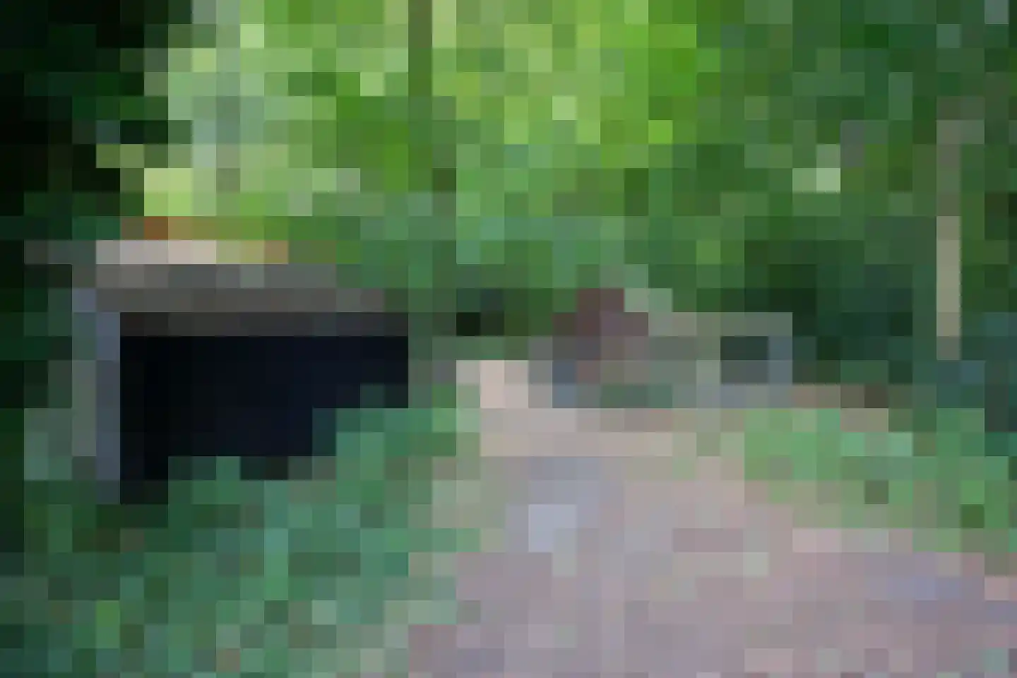 Stuivezandsweg 8 A 't Loo Oldebroek thumbnail 54