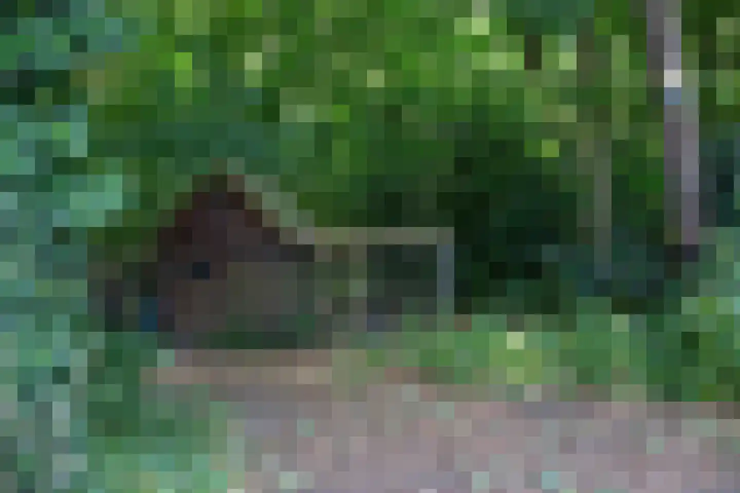 Stuivezandsweg 8 A 't Loo Oldebroek thumbnail 58
