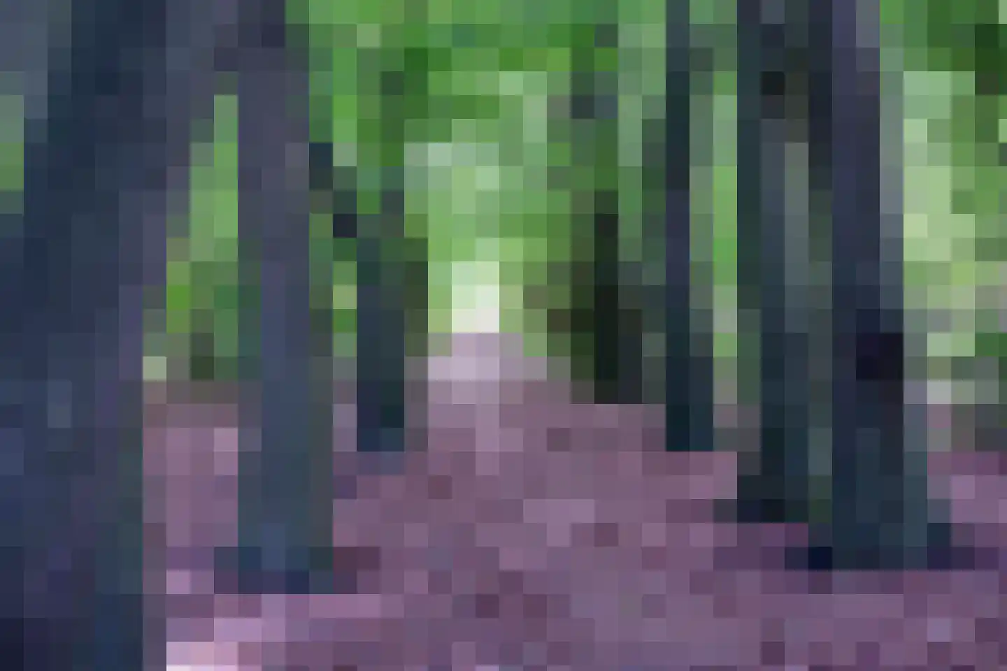 Stuivezandsweg 8 A 't Loo Oldebroek thumbnail 7