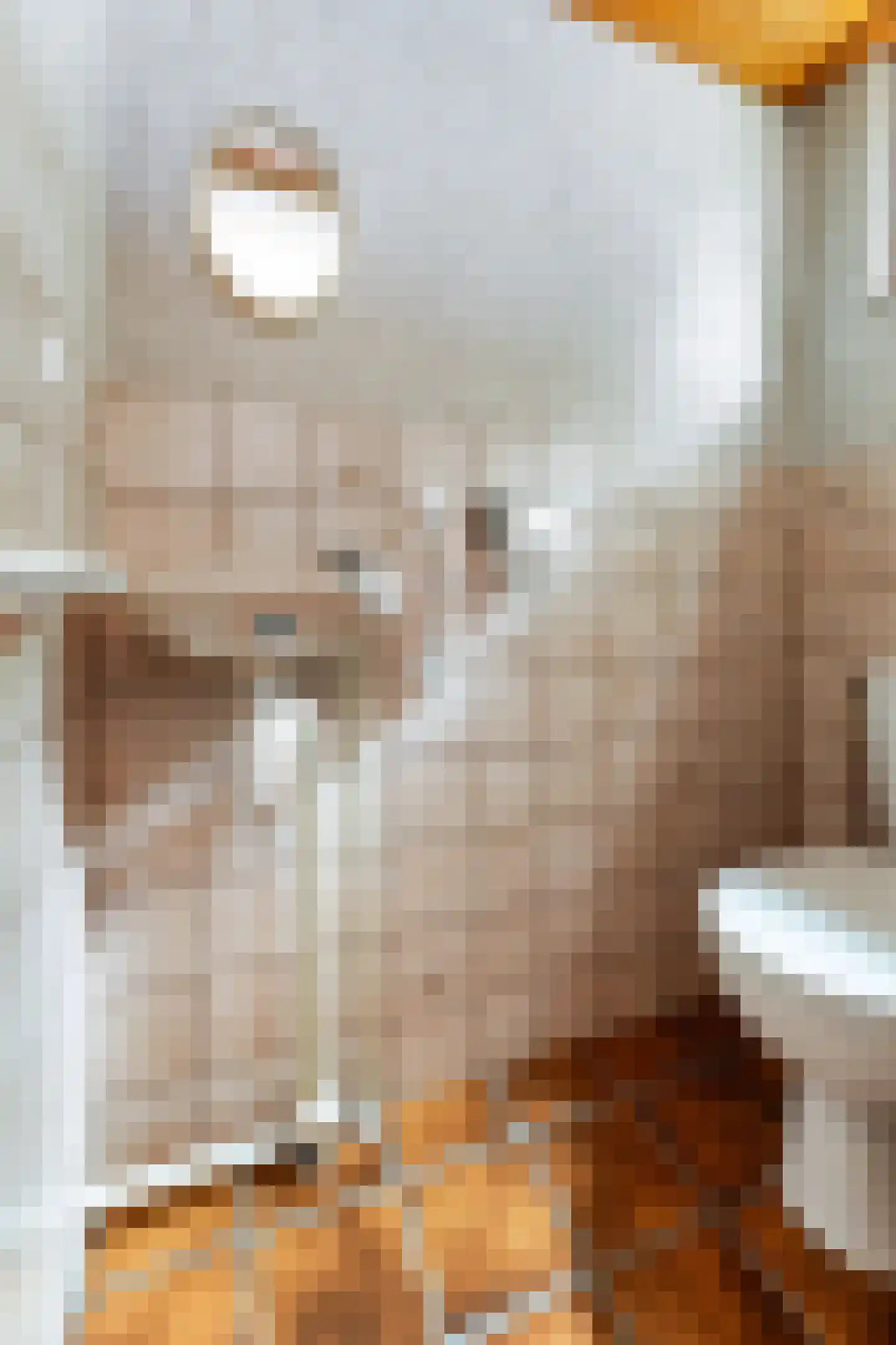 Stuivezandsweg 9 't Loo Oldebroek thumbnail 11