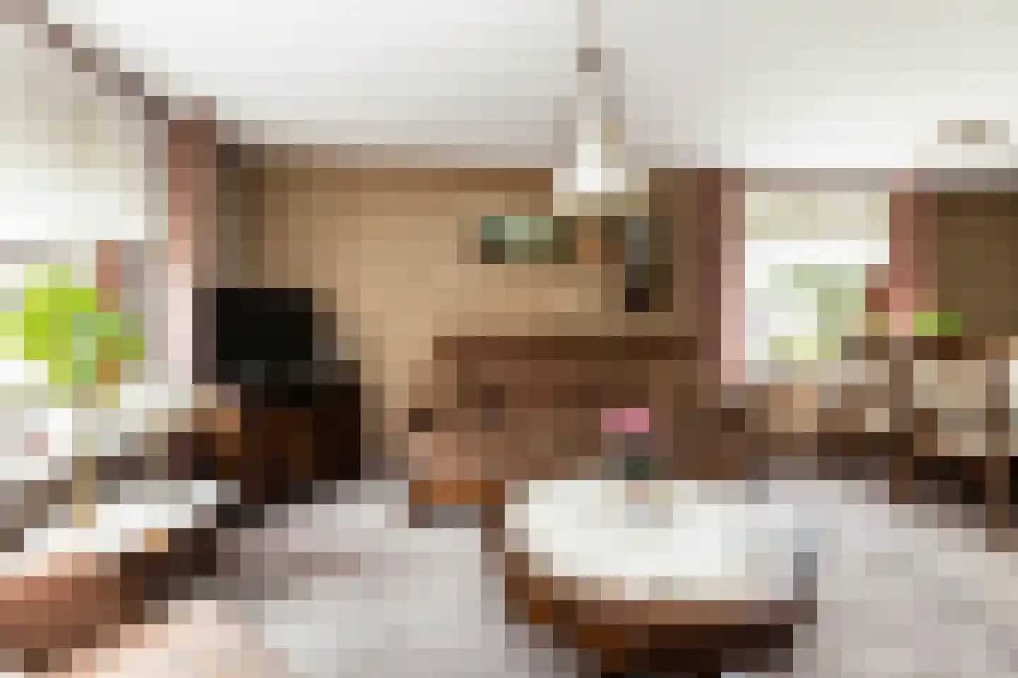 Stuivezandsweg 9 't Loo Oldebroek thumbnail 12