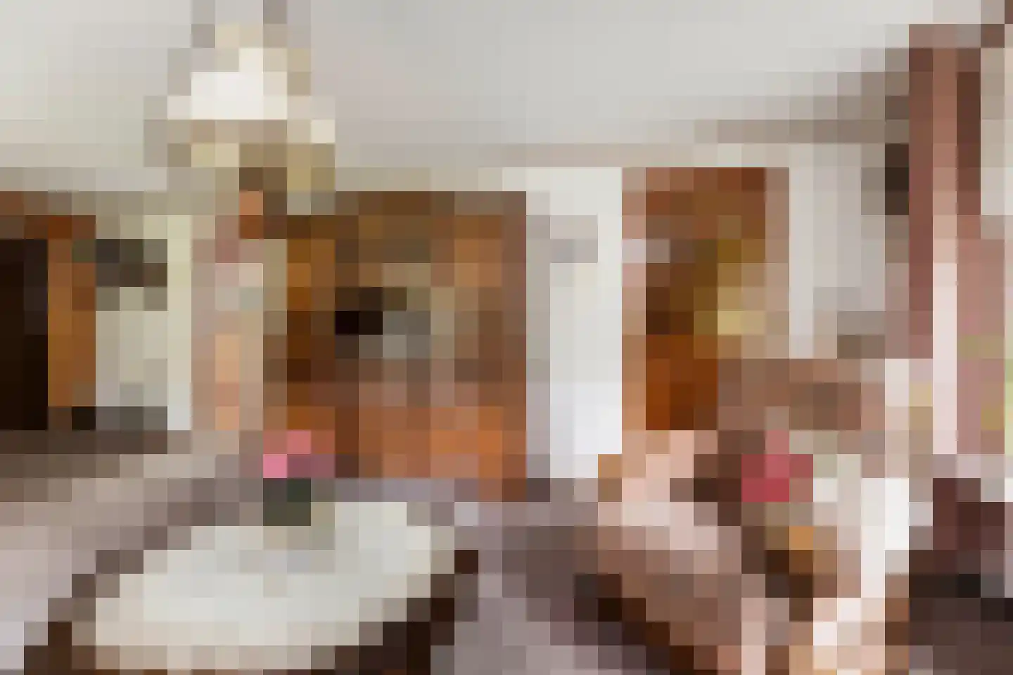 Stuivezandsweg 9 't Loo Oldebroek thumbnail 14