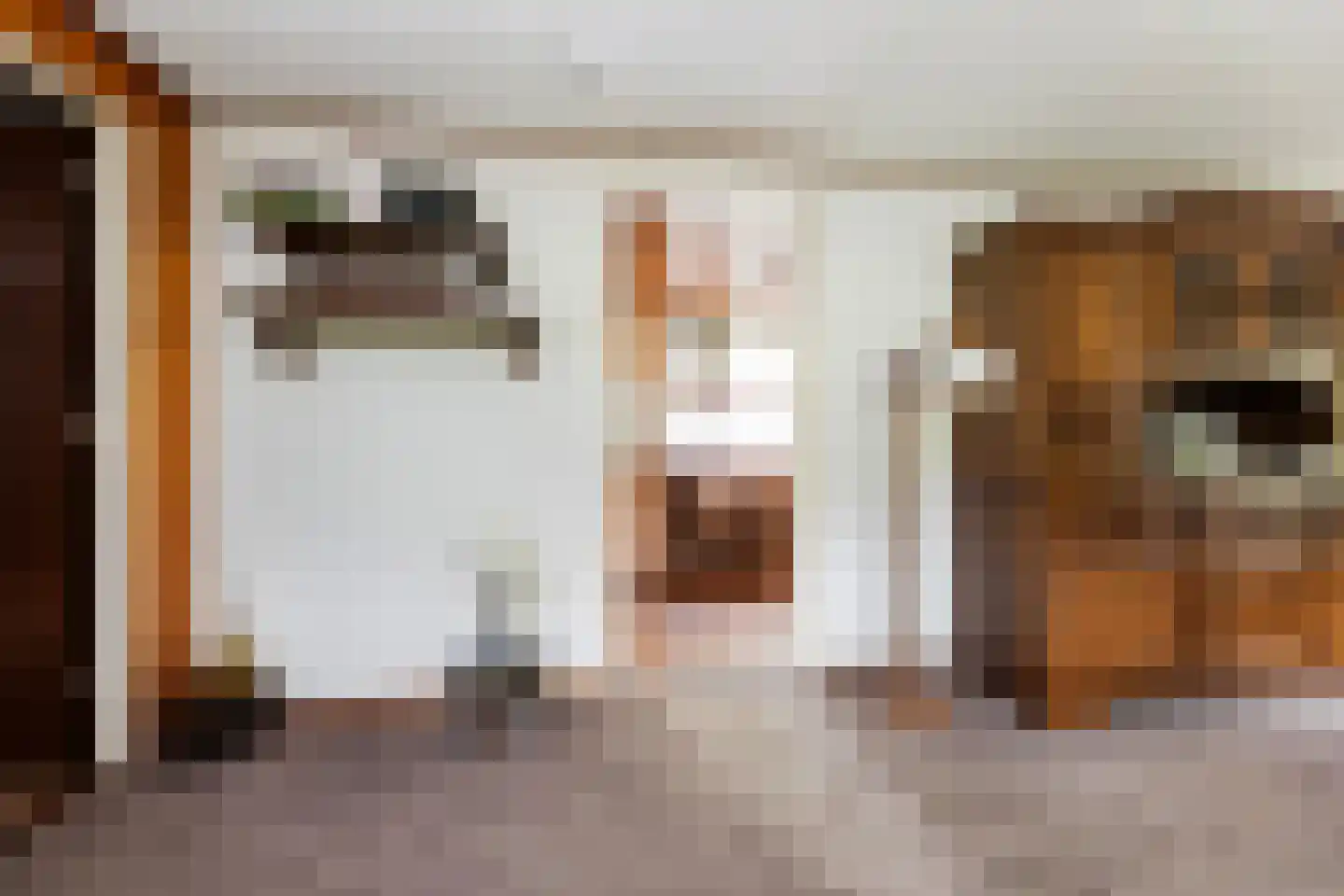 Stuivezandsweg 9 't Loo Oldebroek thumbnail 19