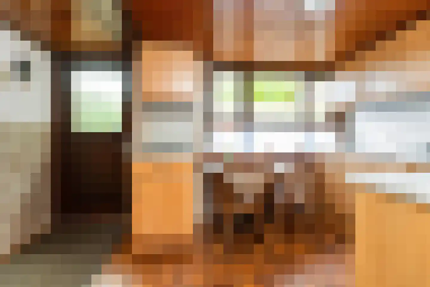 Stuivezandsweg 9 't Loo Oldebroek thumbnail 20