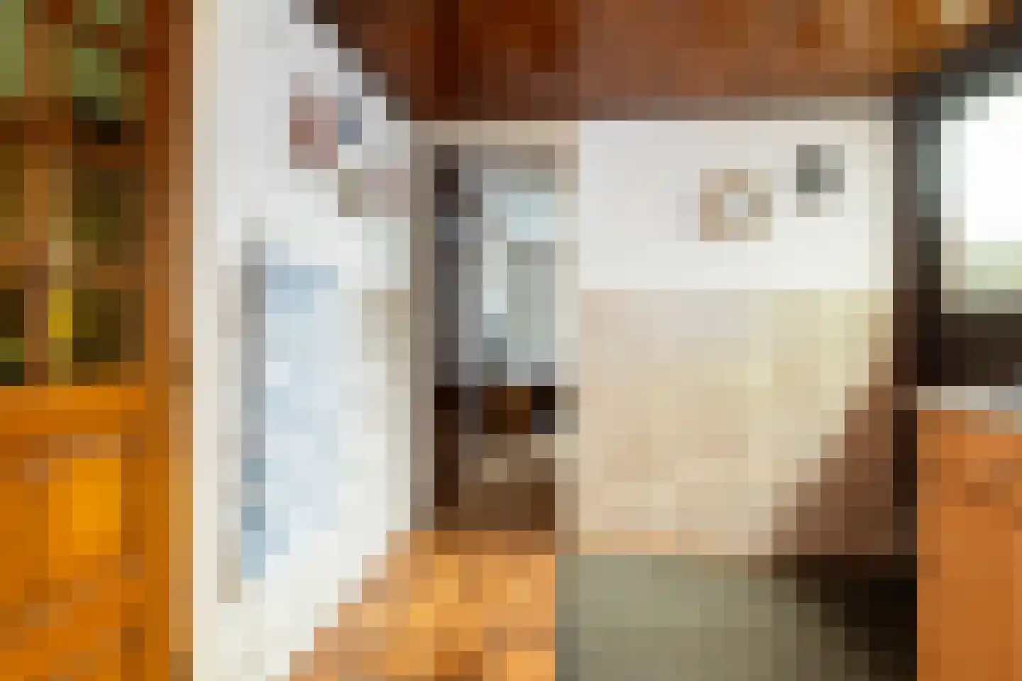 Stuivezandsweg 9 't Loo Oldebroek thumbnail 22