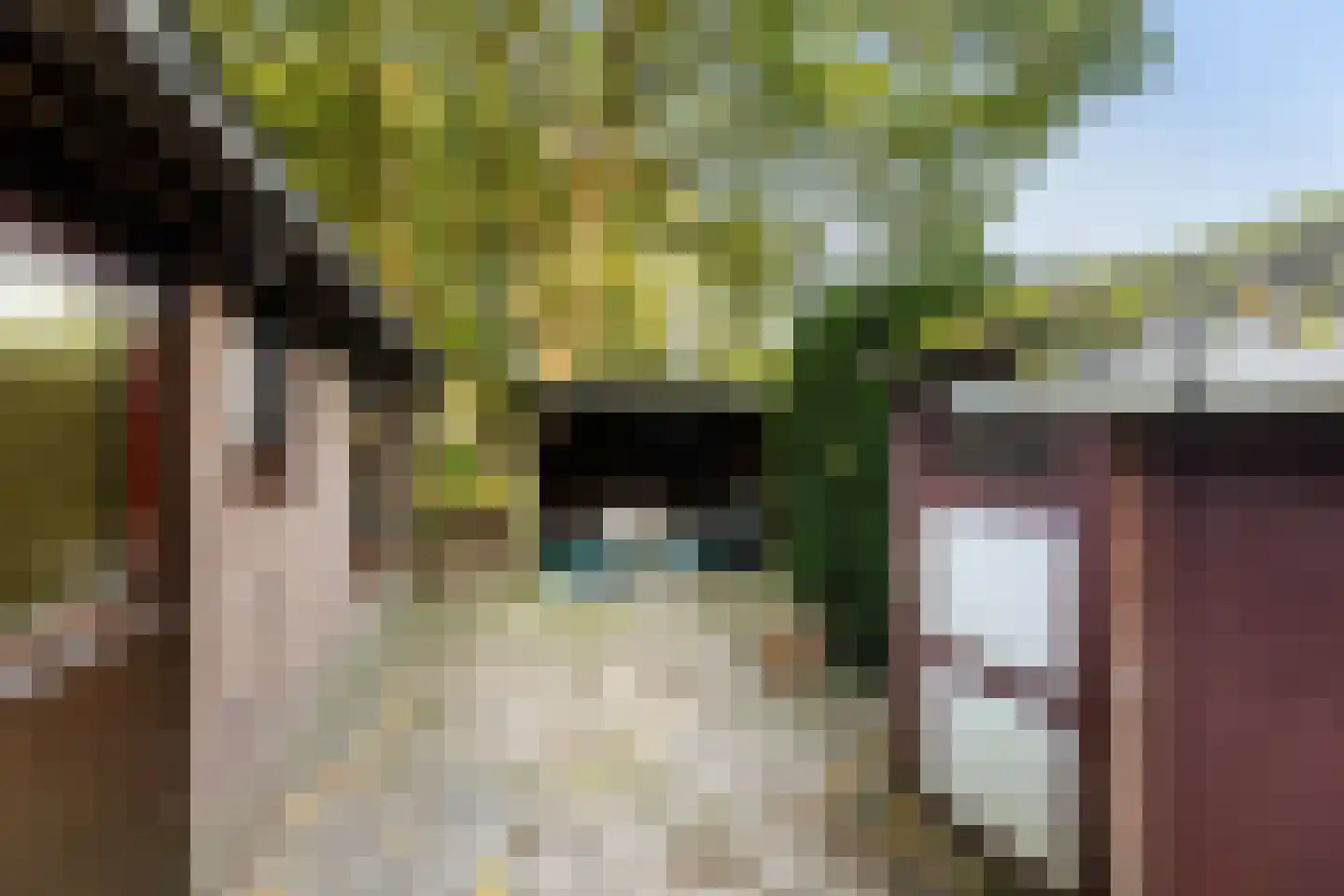 Stuivezandsweg 9 't Loo Oldebroek thumbnail 26