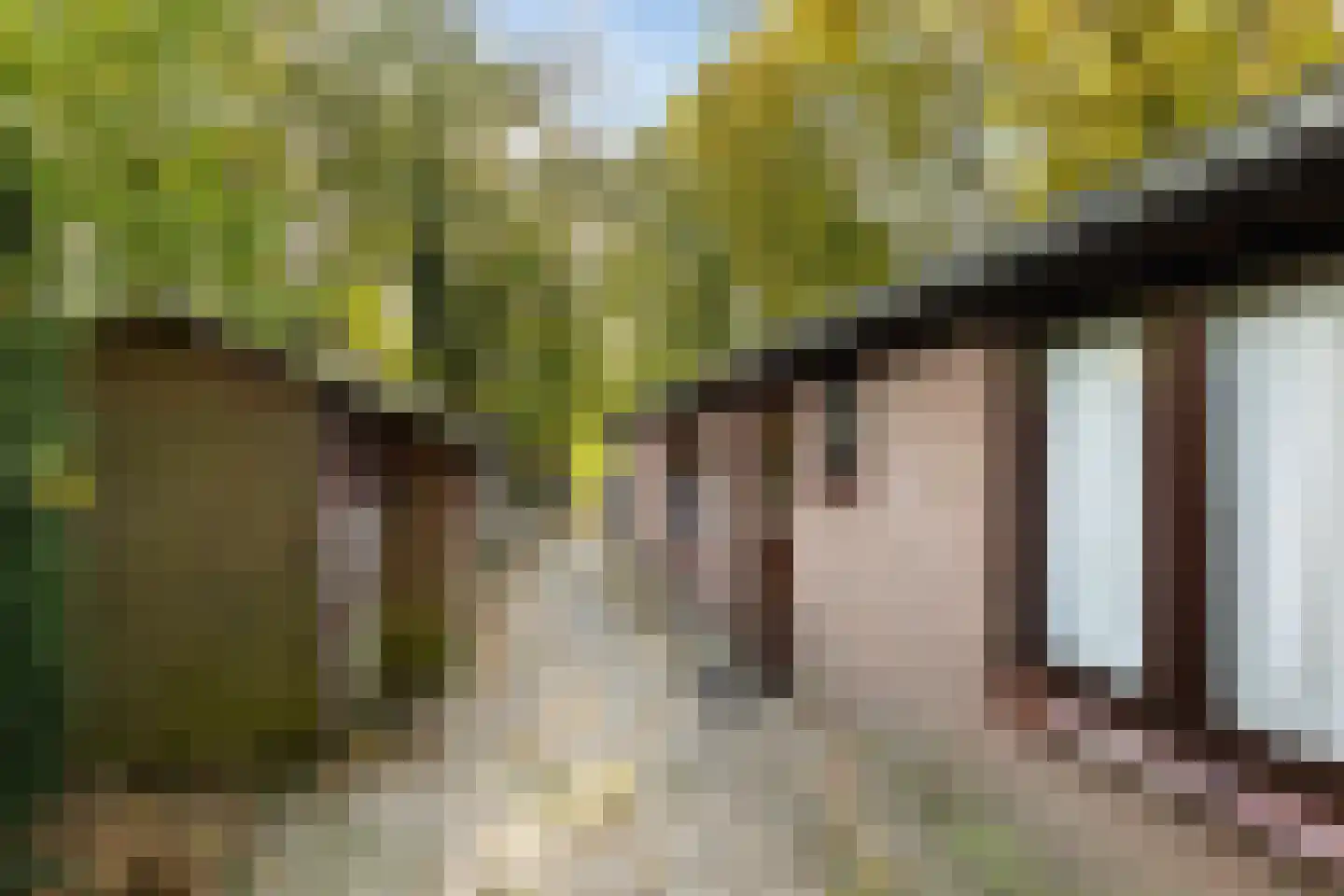 Stuivezandsweg 9 't Loo Oldebroek thumbnail 27