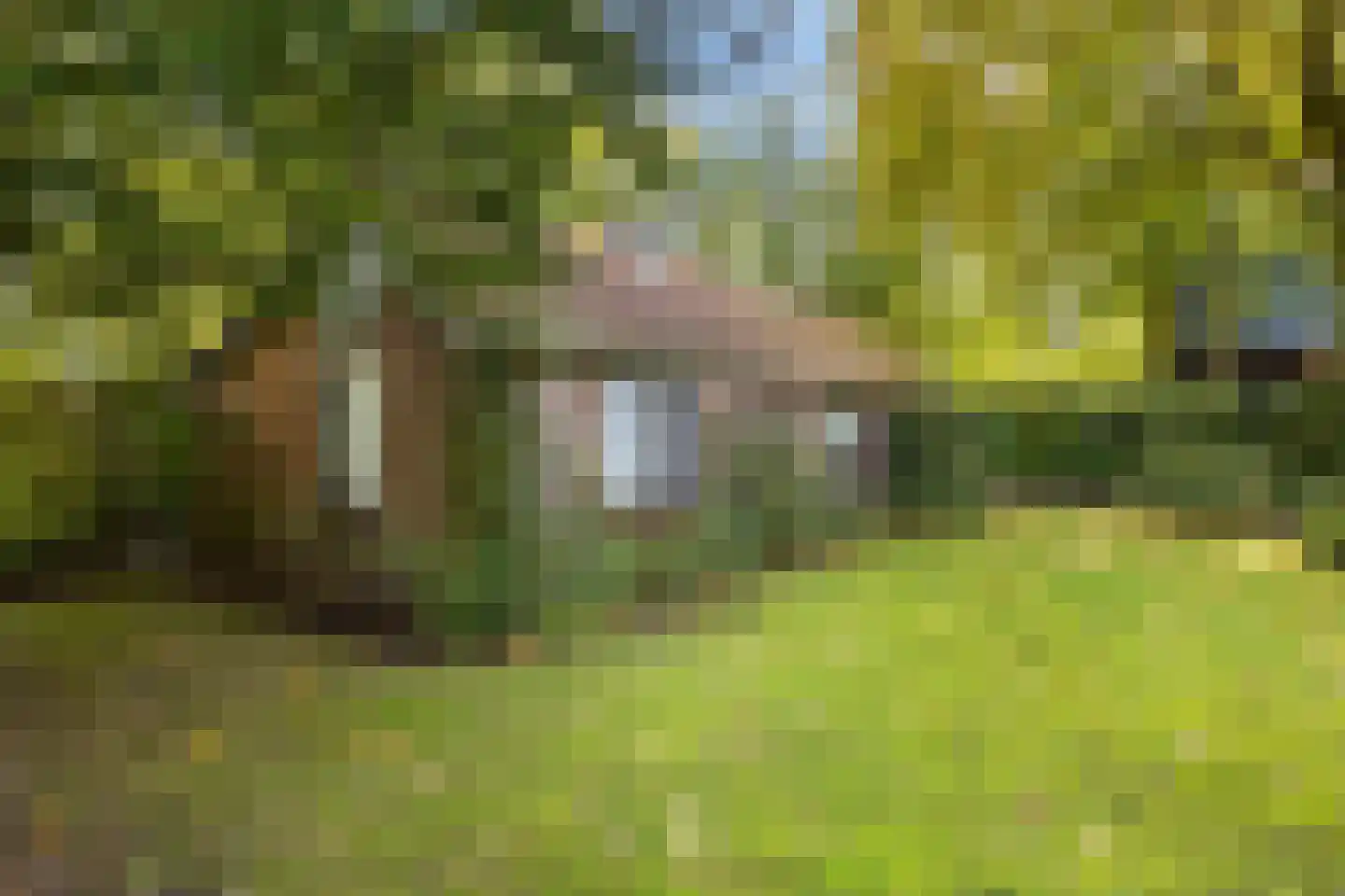 Stuivezandsweg 9 't Loo Oldebroek thumbnail 28