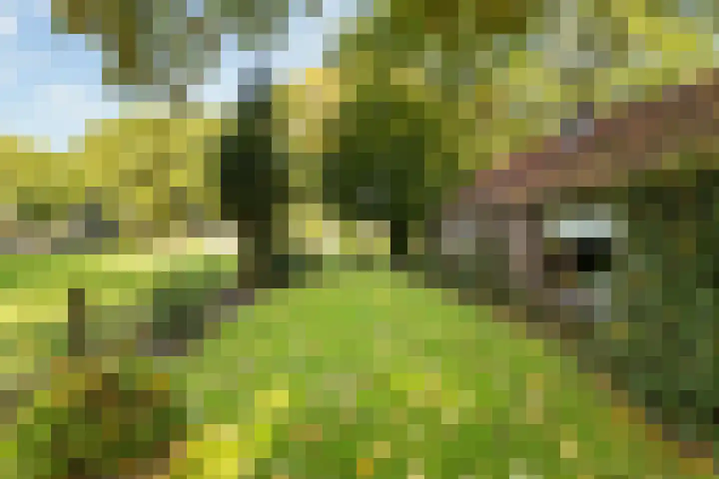 Stuivezandsweg 9 't Loo Oldebroek thumbnail 29