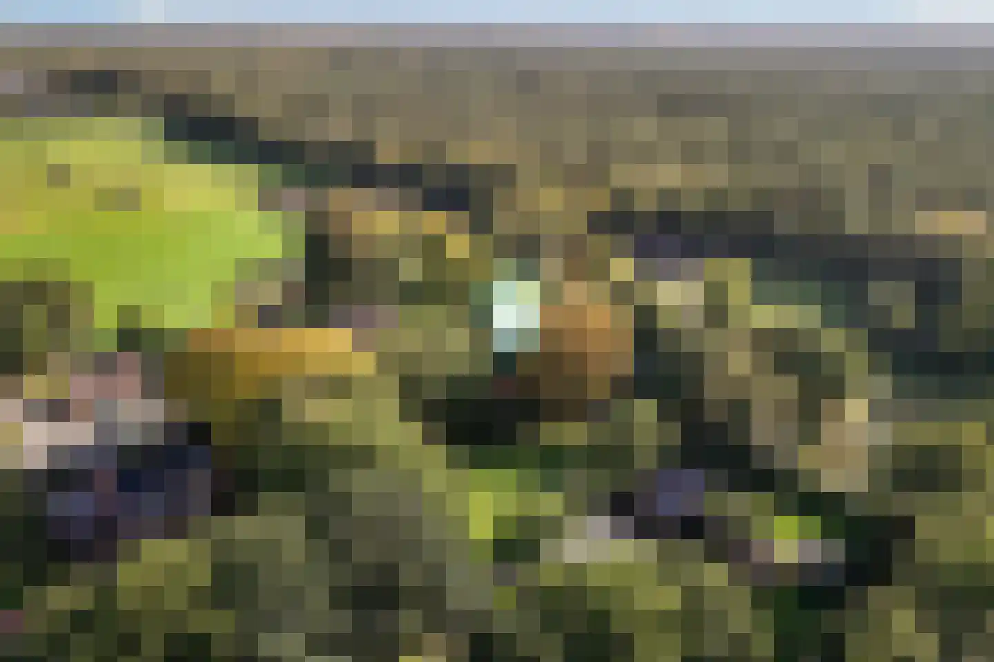 Stuivezandsweg 9 't Loo Oldebroek foto 3