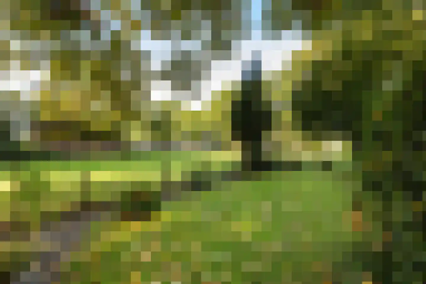 Stuivezandsweg 9 't Loo Oldebroek thumbnail 30