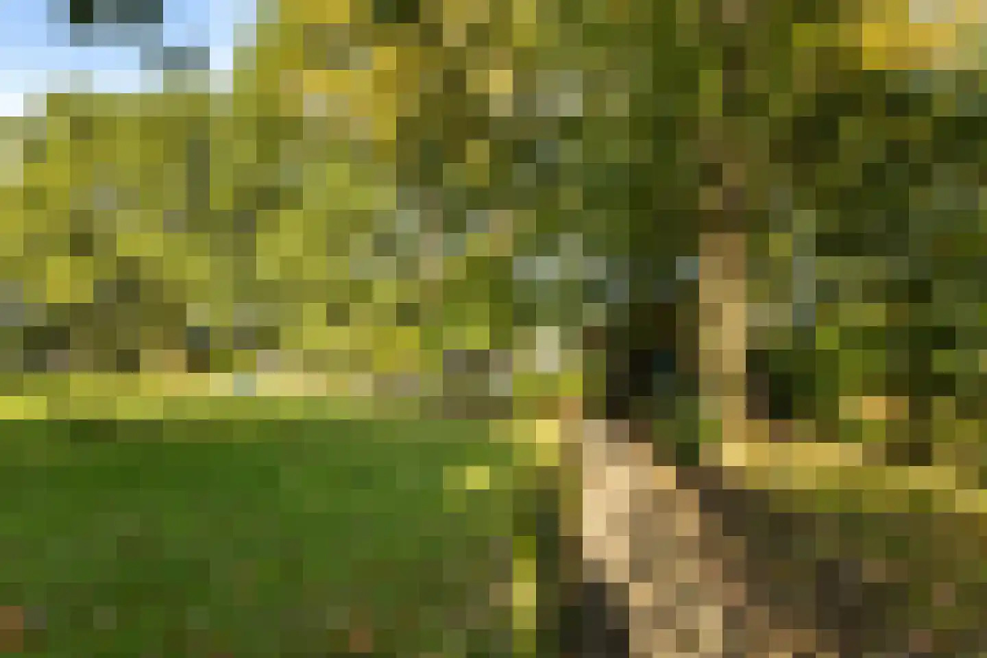 Stuivezandsweg 9 't Loo Oldebroek thumbnail 31