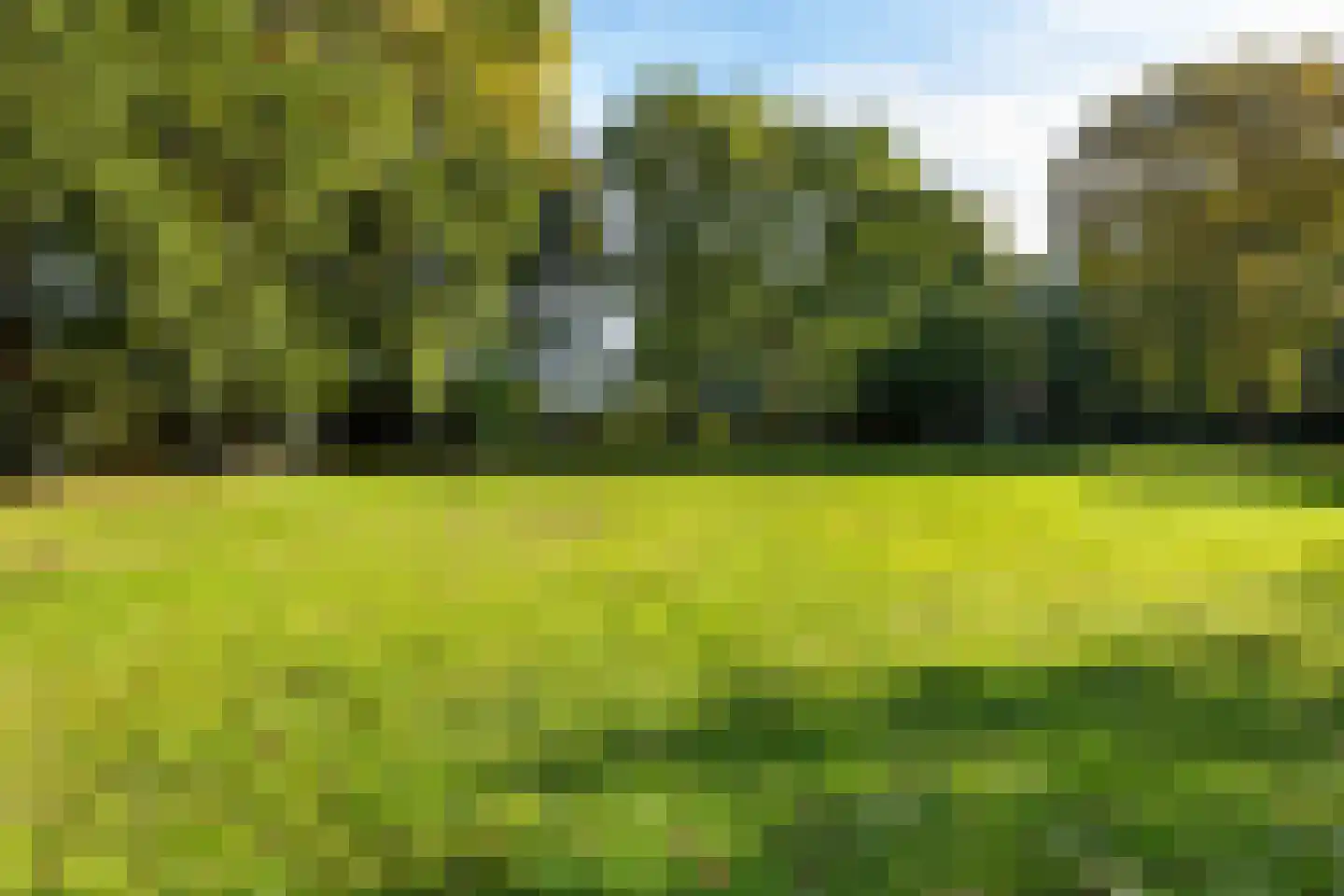 Stuivezandsweg 9 't Loo Oldebroek thumbnail 34
