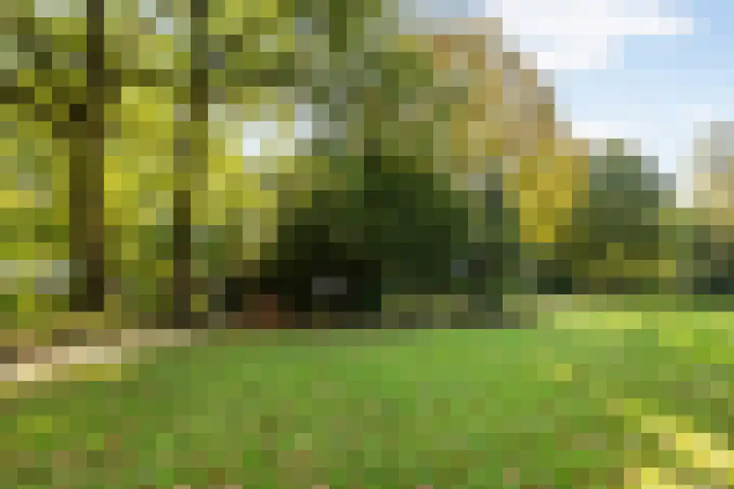 Stuivezandsweg 9 't Loo Oldebroek thumbnail 37