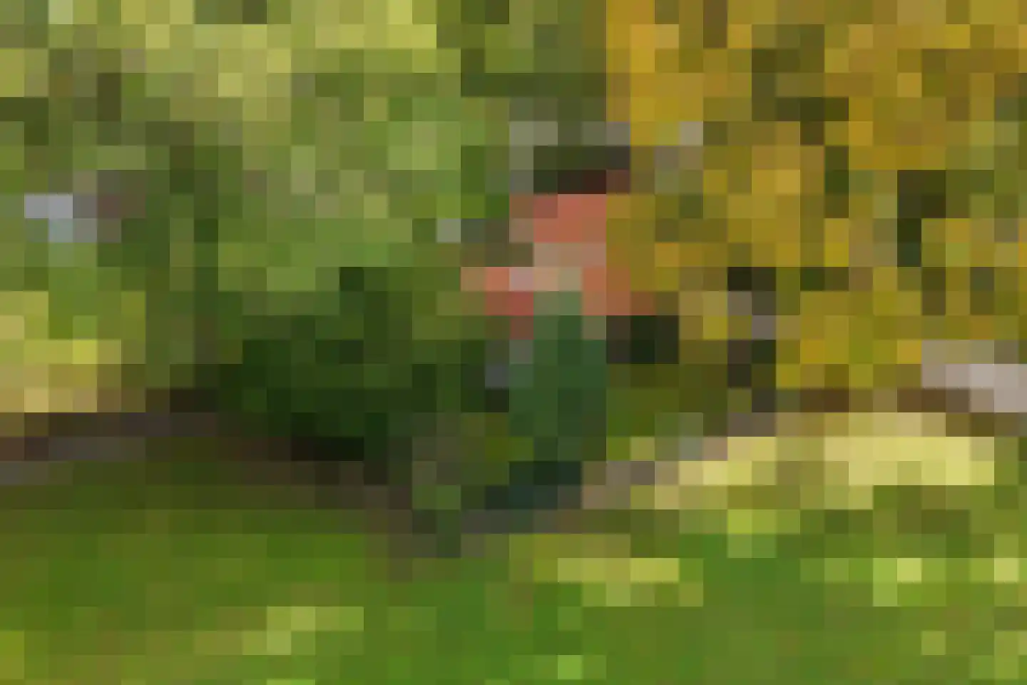 Stuivezandsweg 9 't Loo Oldebroek thumbnail 38