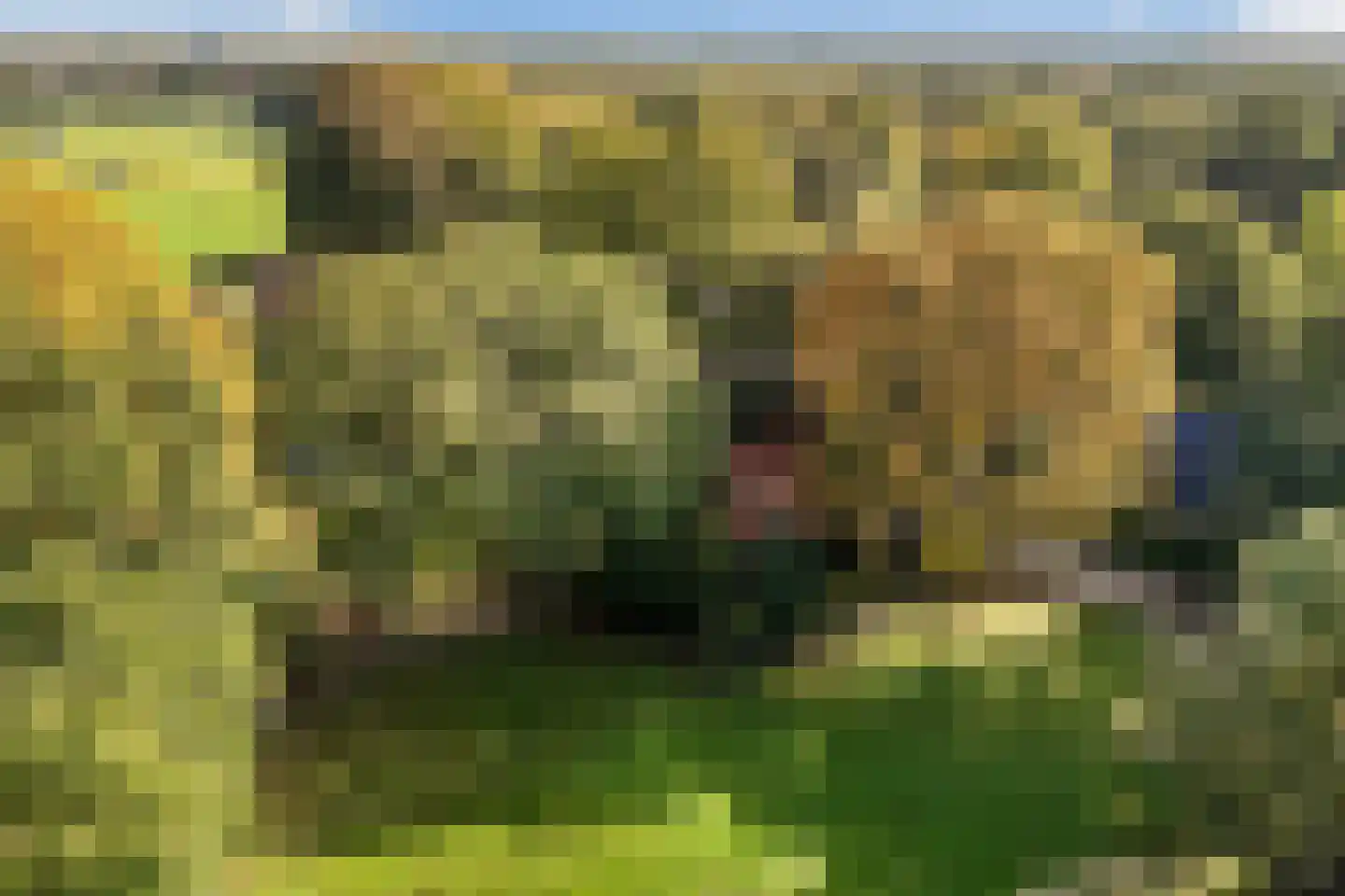 Stuivezandsweg 9 't Loo Oldebroek thumbnail 39