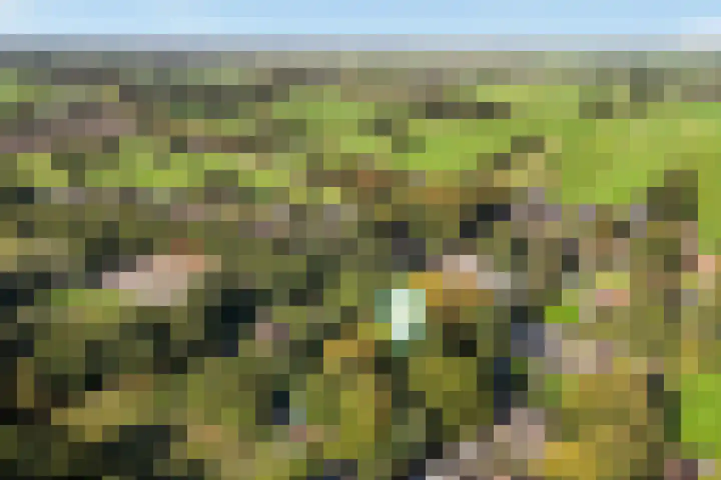 Stuivezandsweg 9 't Loo Oldebroek thumbnail 4