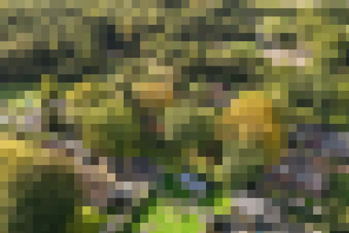 Stuivezandsweg 9 't Loo Oldebroek thumbnail 40
