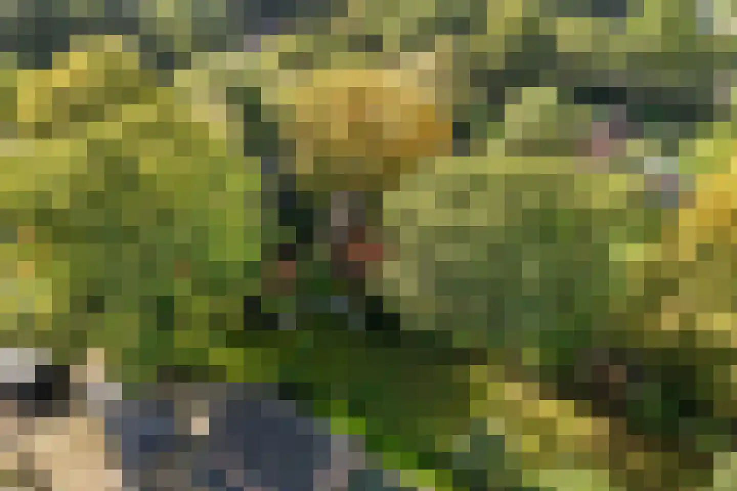 Stuivezandsweg 9 't Loo Oldebroek thumbnail 41