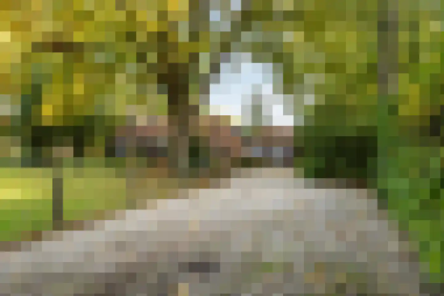 Stuivezandsweg 9 't Loo Oldebroek thumbnail 5