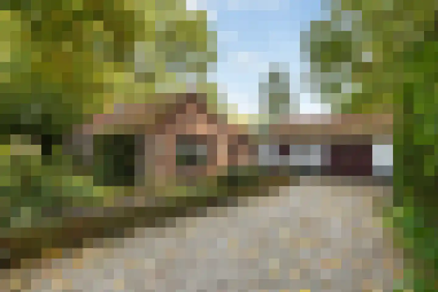 Stuivezandsweg 9 't Loo Oldebroek thumbnail 6