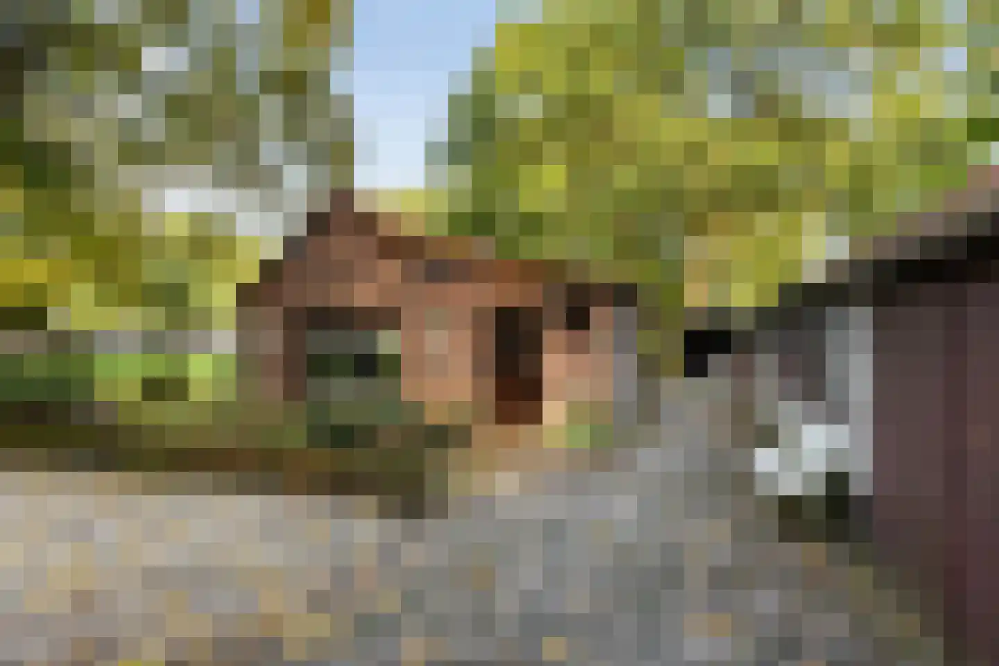 Stuivezandsweg 9 't Loo Oldebroek thumbnail 7