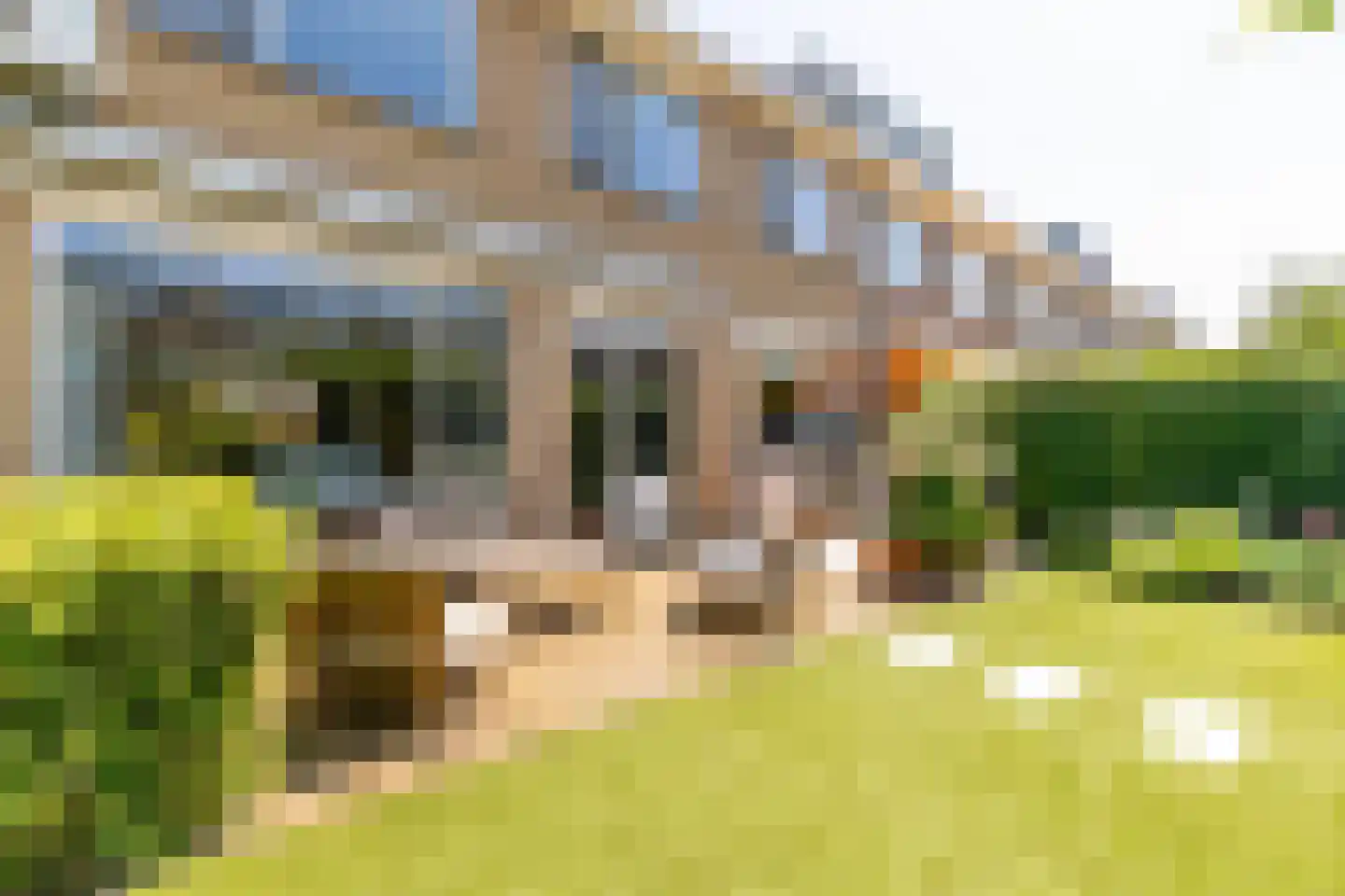 Stuivingastraat 17 Rotterdam thumbnail 13