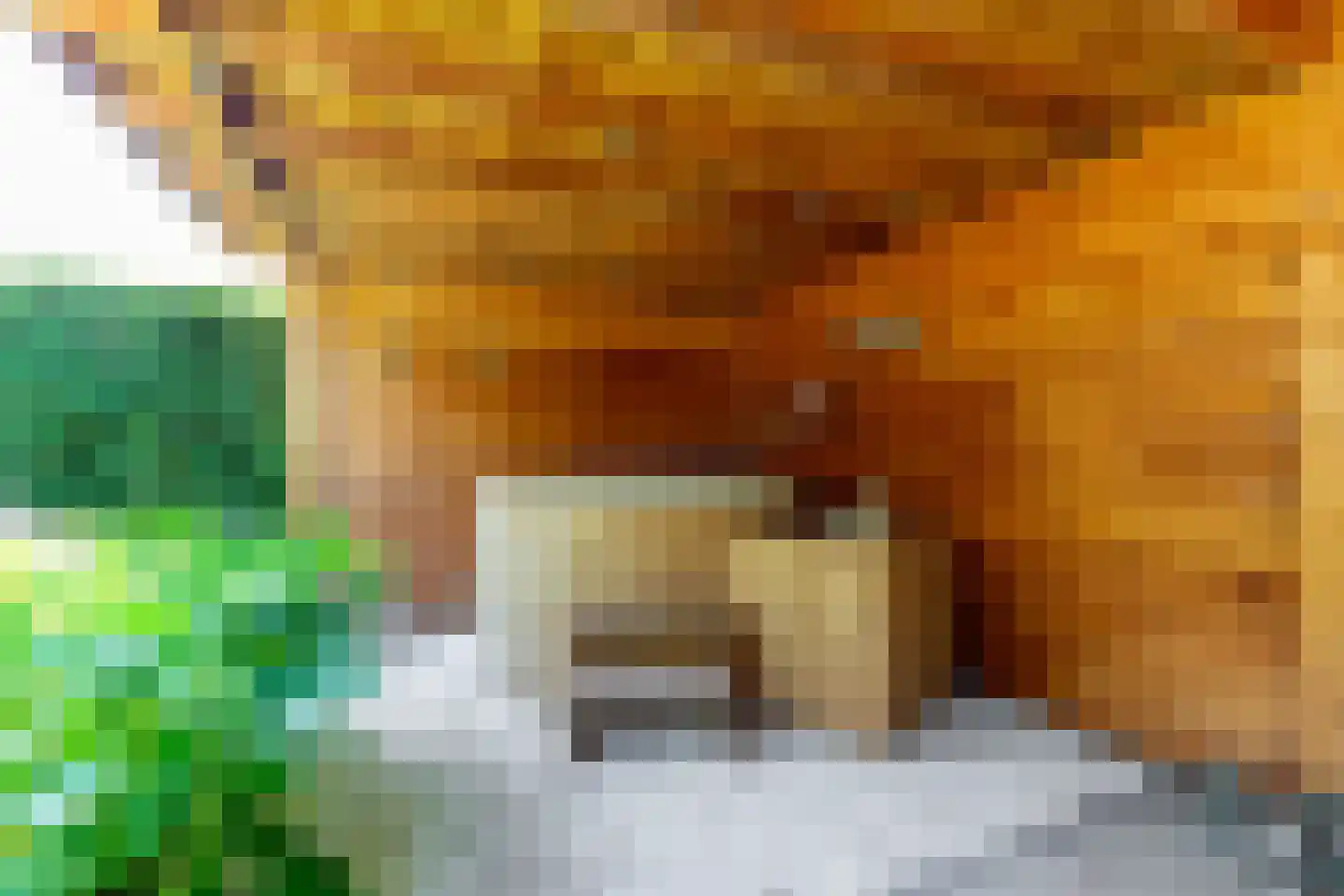 Stuivingastraat 17 Rotterdam thumbnail 18