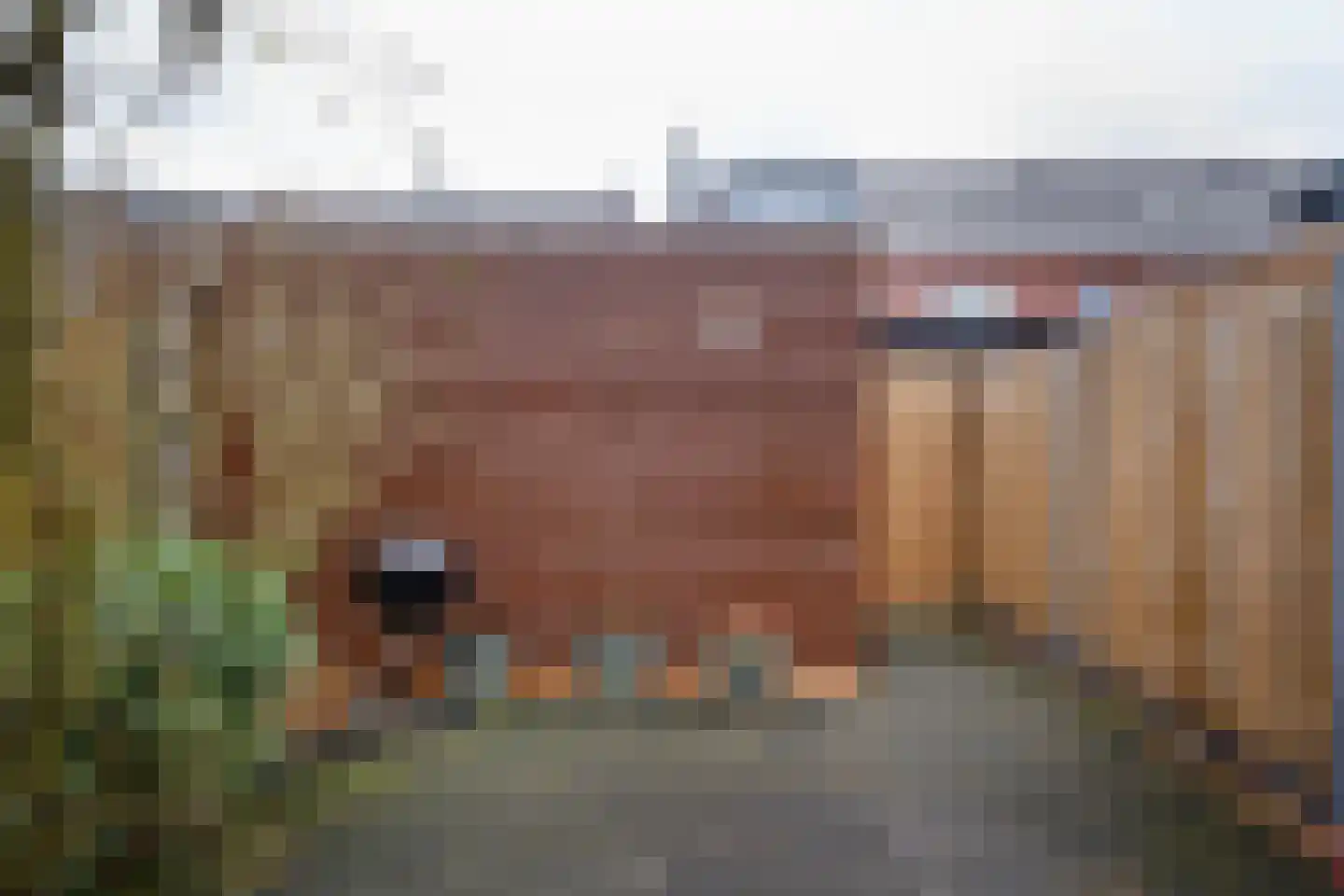Stuivingastraat 28 Utrecht thumbnail 12