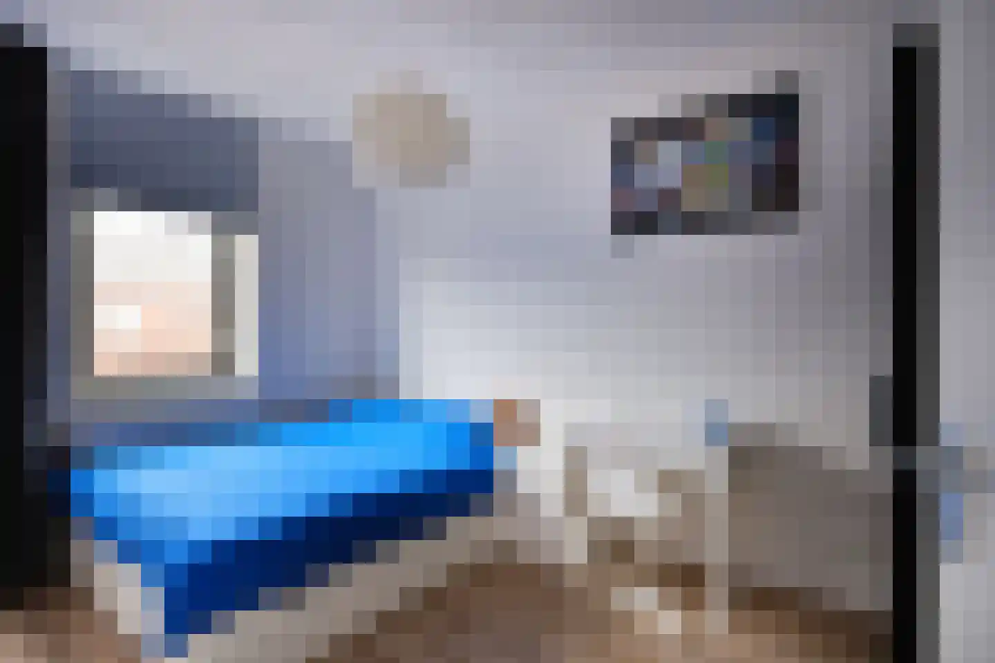Stuivingastraat 28 Utrecht thumbnail 14