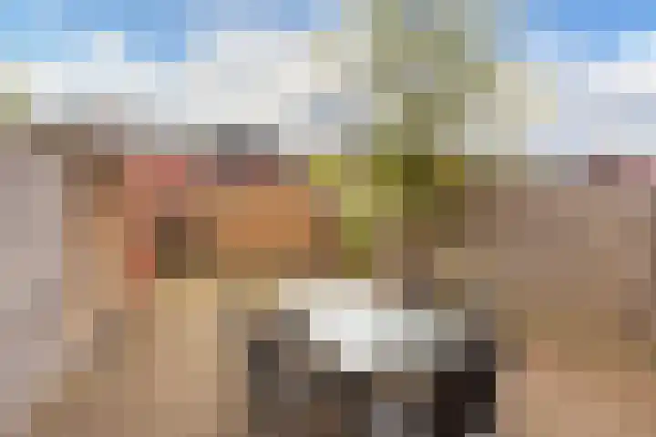 Stuivingastraat 29 Utrecht thumbnail 11
