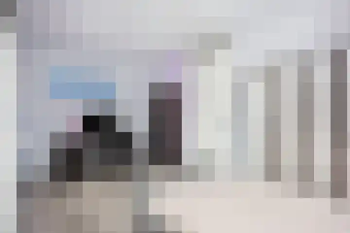 Stuivingastraat 29 Utrecht thumbnail 22