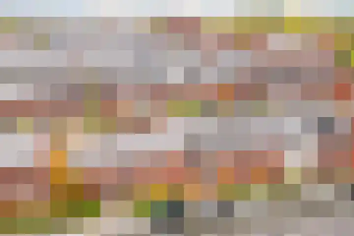 Stuivingastraat 29 Utrecht thumbnail 37