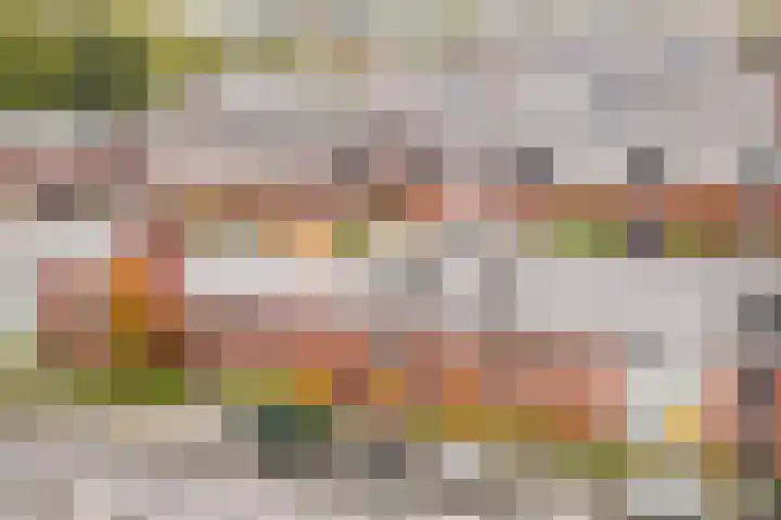 Stuivingastraat 29 Utrecht thumbnail 39