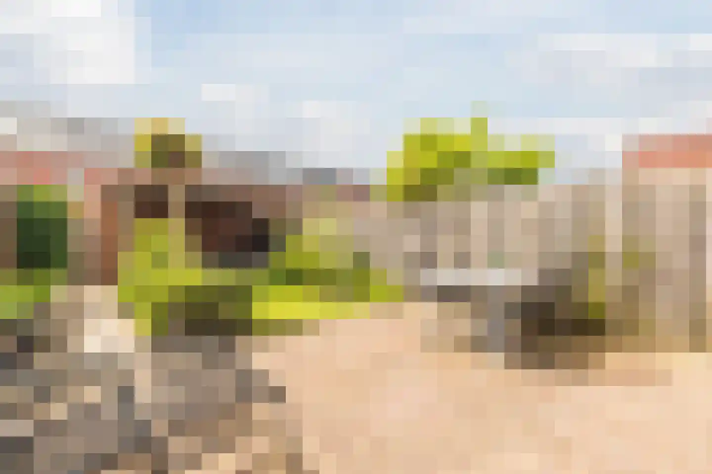 Stuivingastraat 39 Utrecht thumbnail 13