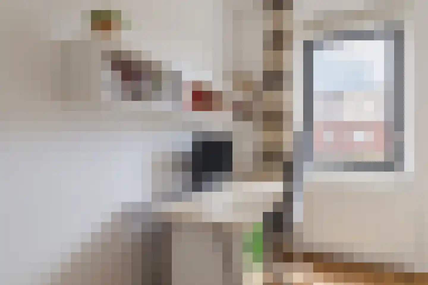 Stuivingastraat 39 Utrecht thumbnail 40
