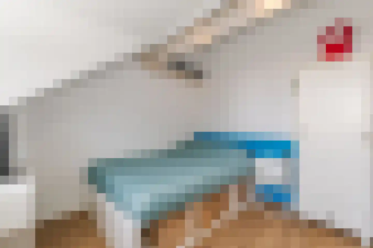 Stuivingastraat 39 Utrecht thumbnail 47