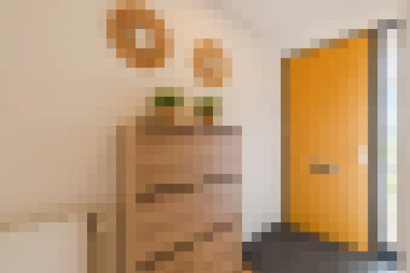 Stuivingastraat 39 Utrecht thumbnail 56