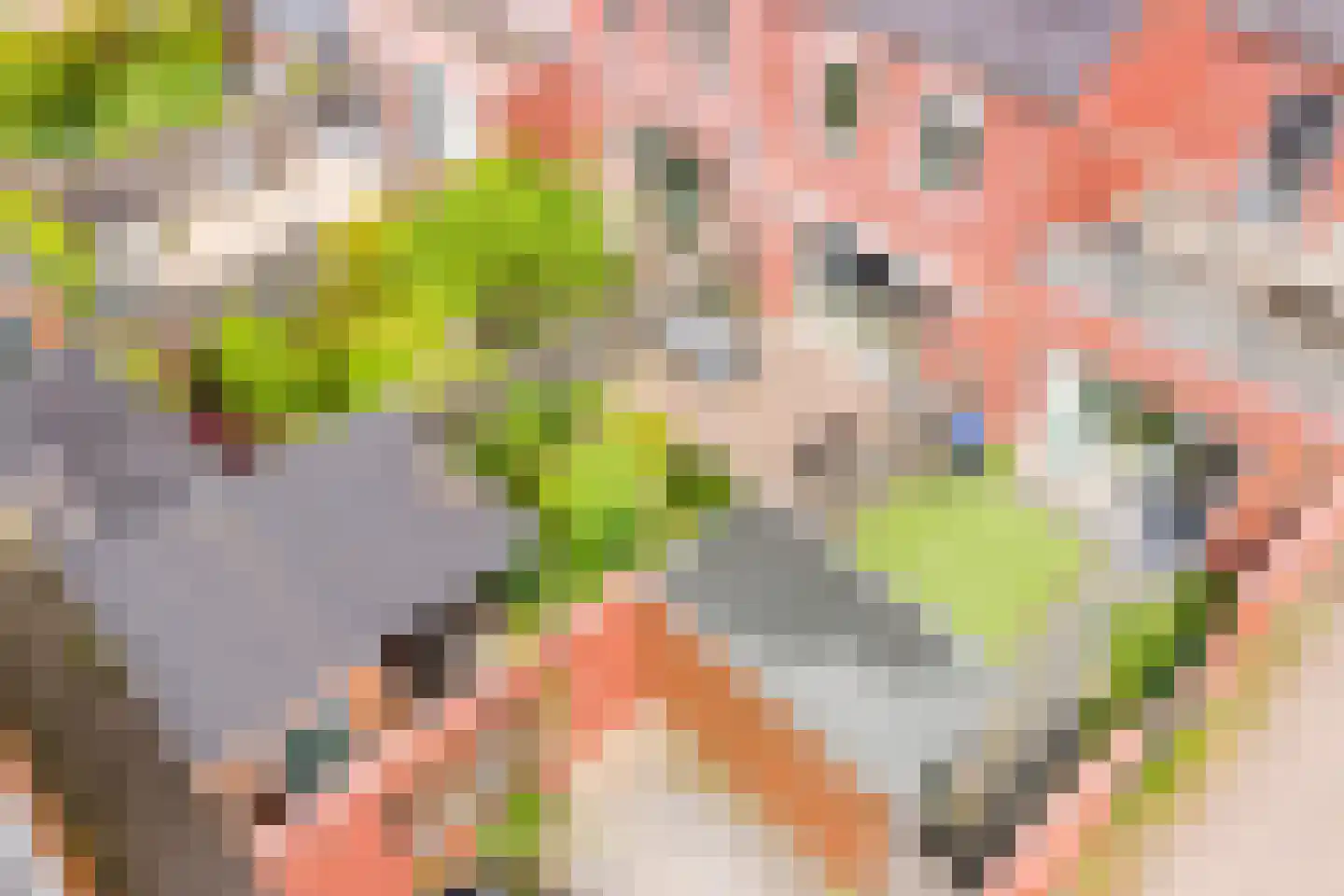 Stuivingastraat 39 Utrecht thumbnail 69