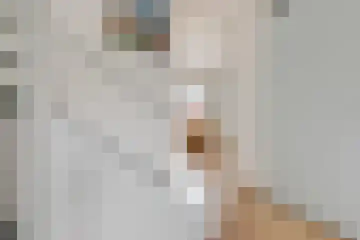 Stuivingastraat 64 Utrecht thumbnail 13